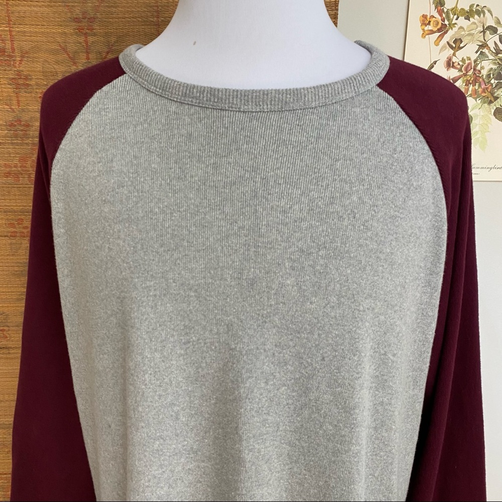 J. Peterman Suede Elbow Patch Rugby Raglan Sweatshirt - Picture 3 of 14